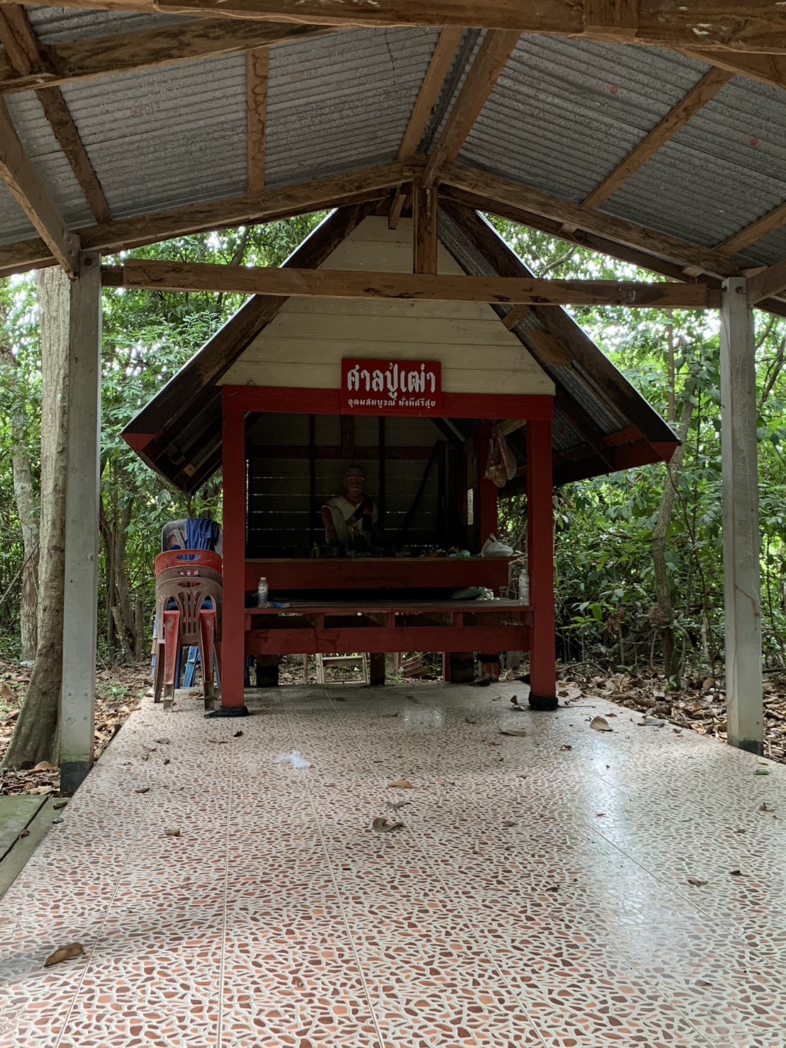forest image