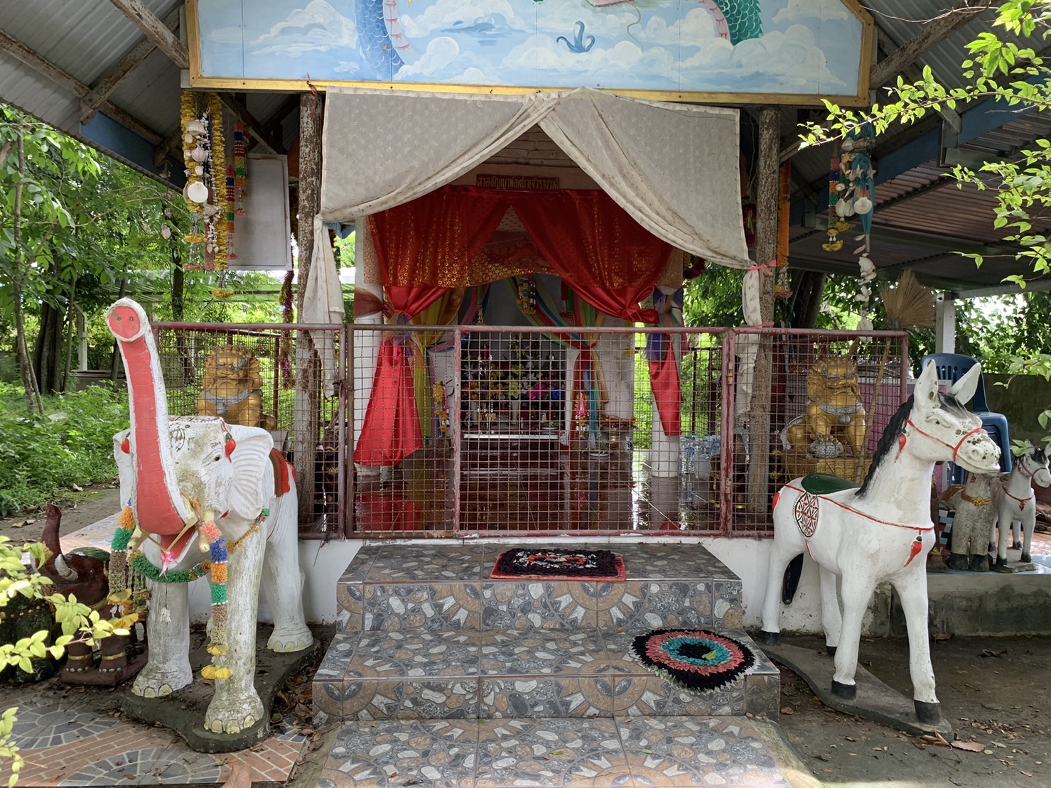 forest image