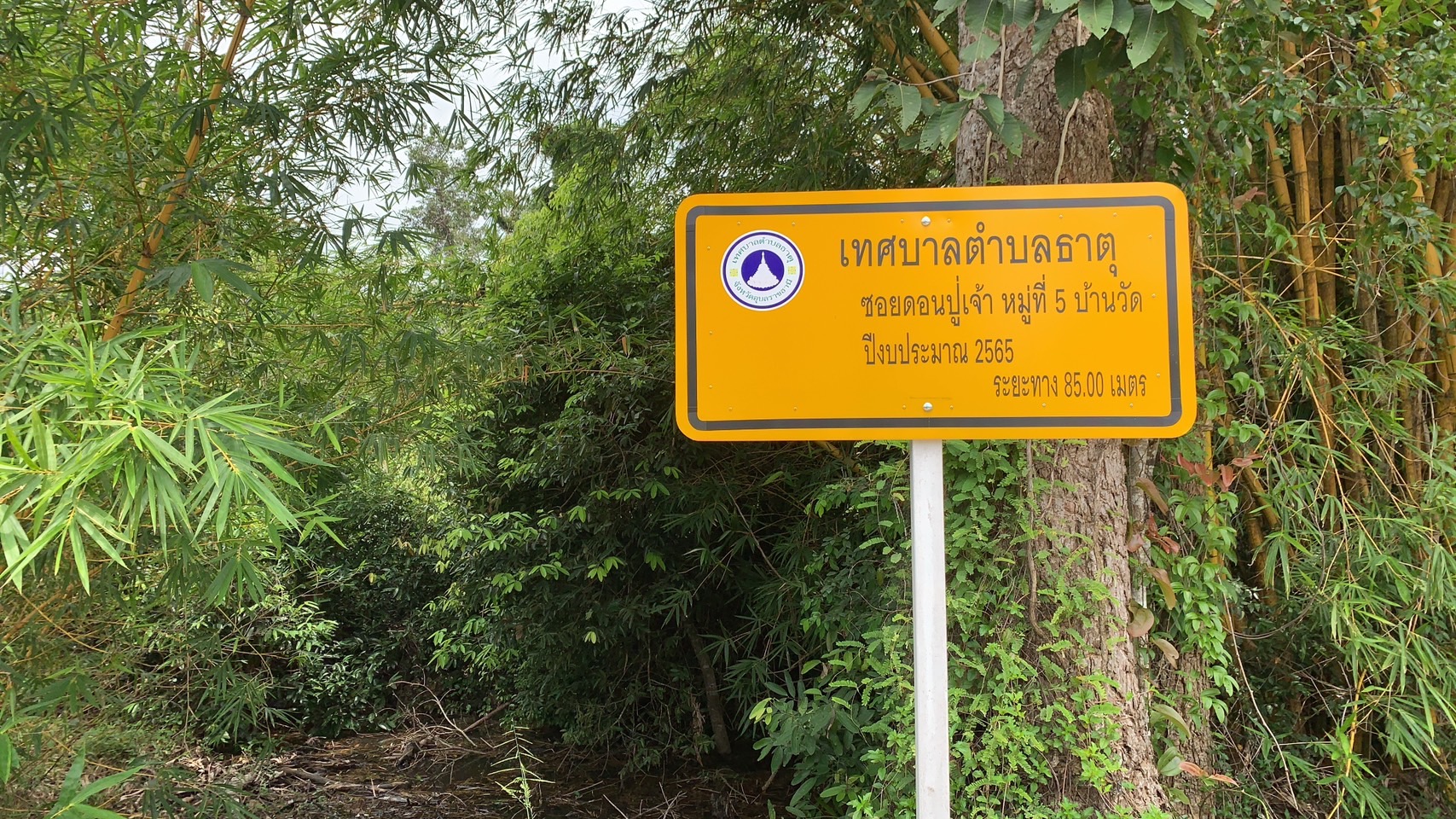 ดอนปู่ตาบ้านวัด