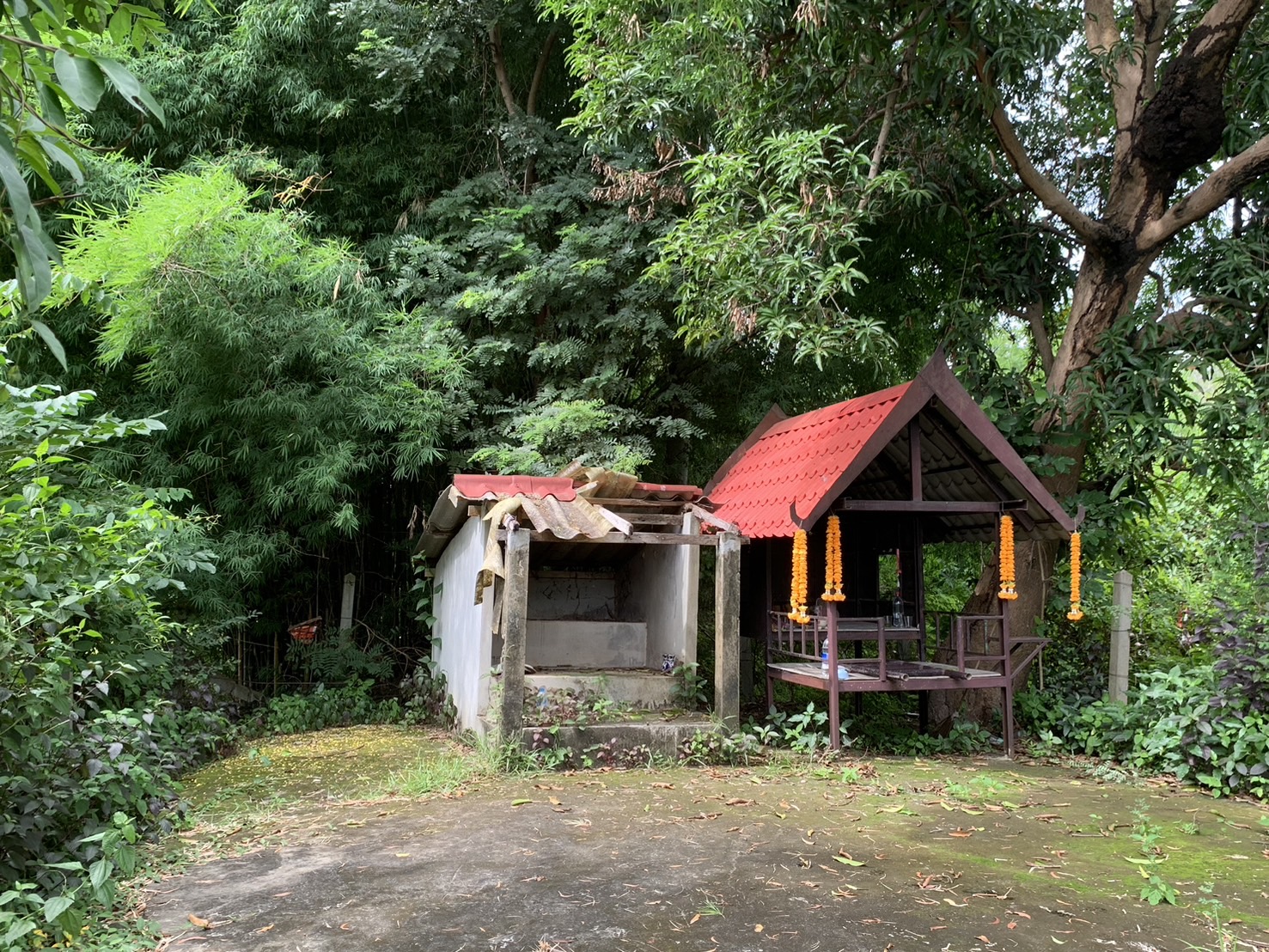 ดอนปู่ตาบ้านโนนจันทร์
