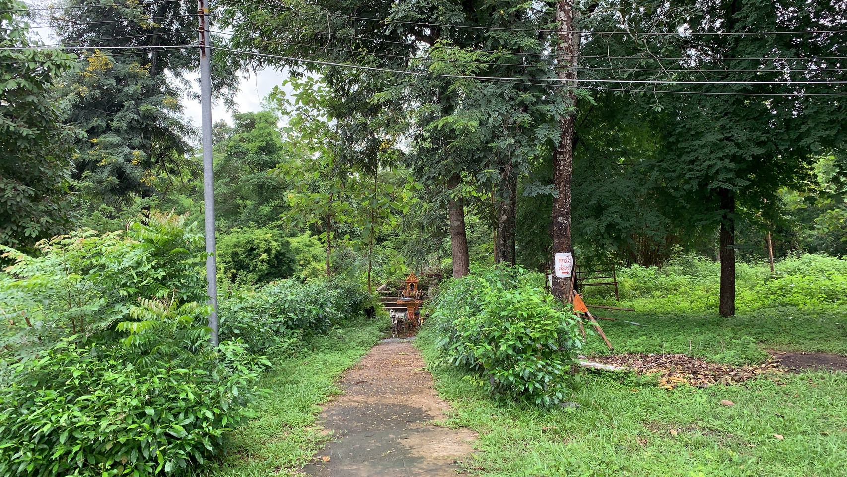 ดอนปู่ตาบ้านกุดชมภู