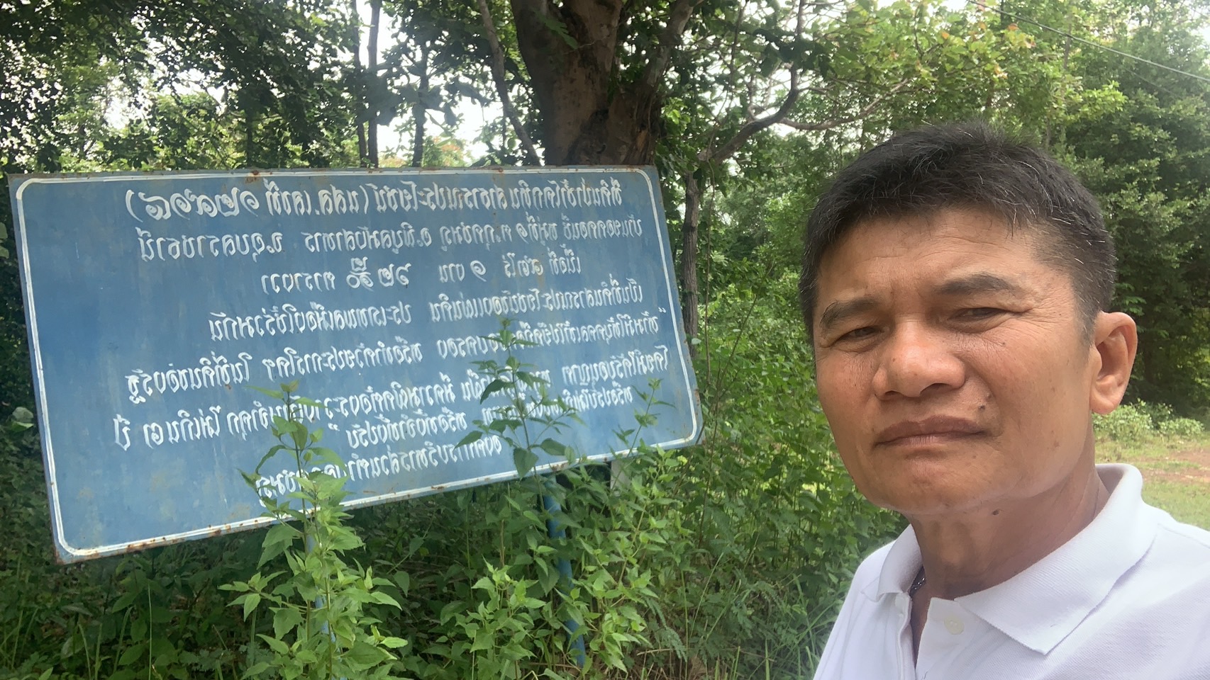 forest image