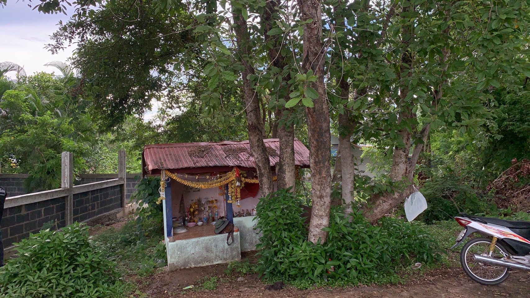 ดอนปู่ตาบ้านท่าเสียว