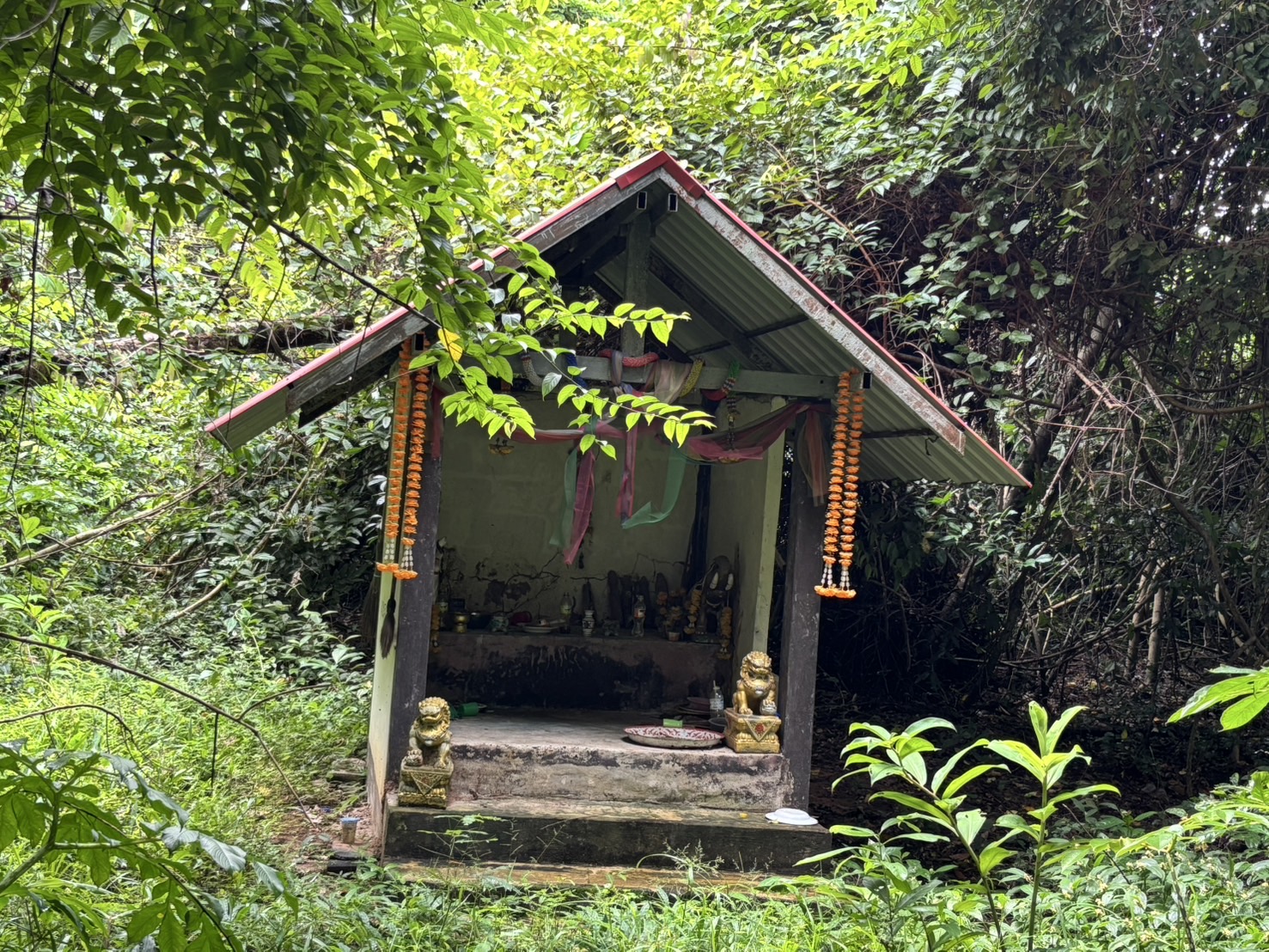 ดอนปู่ตาบ้านบุ่งคล้า