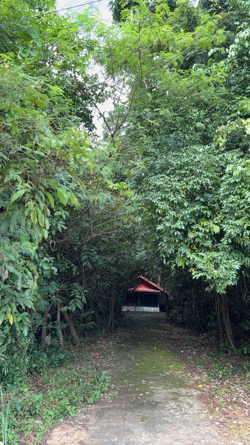 ดอนปู่ตาบ้านโพนดวน
