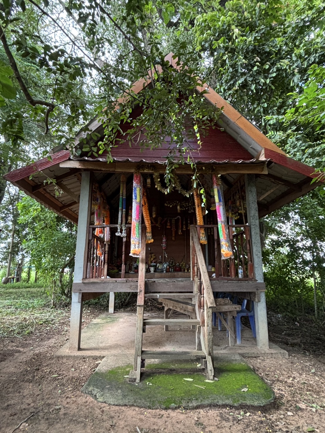 ดอนปู่ตาบ้านนาเจริญ