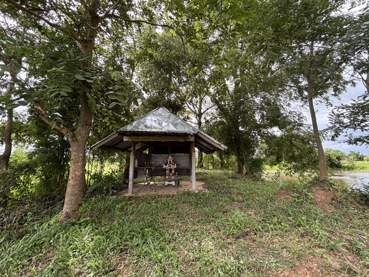 ดอนปู่ตาบ้านหนองโพธิ์ไฮ