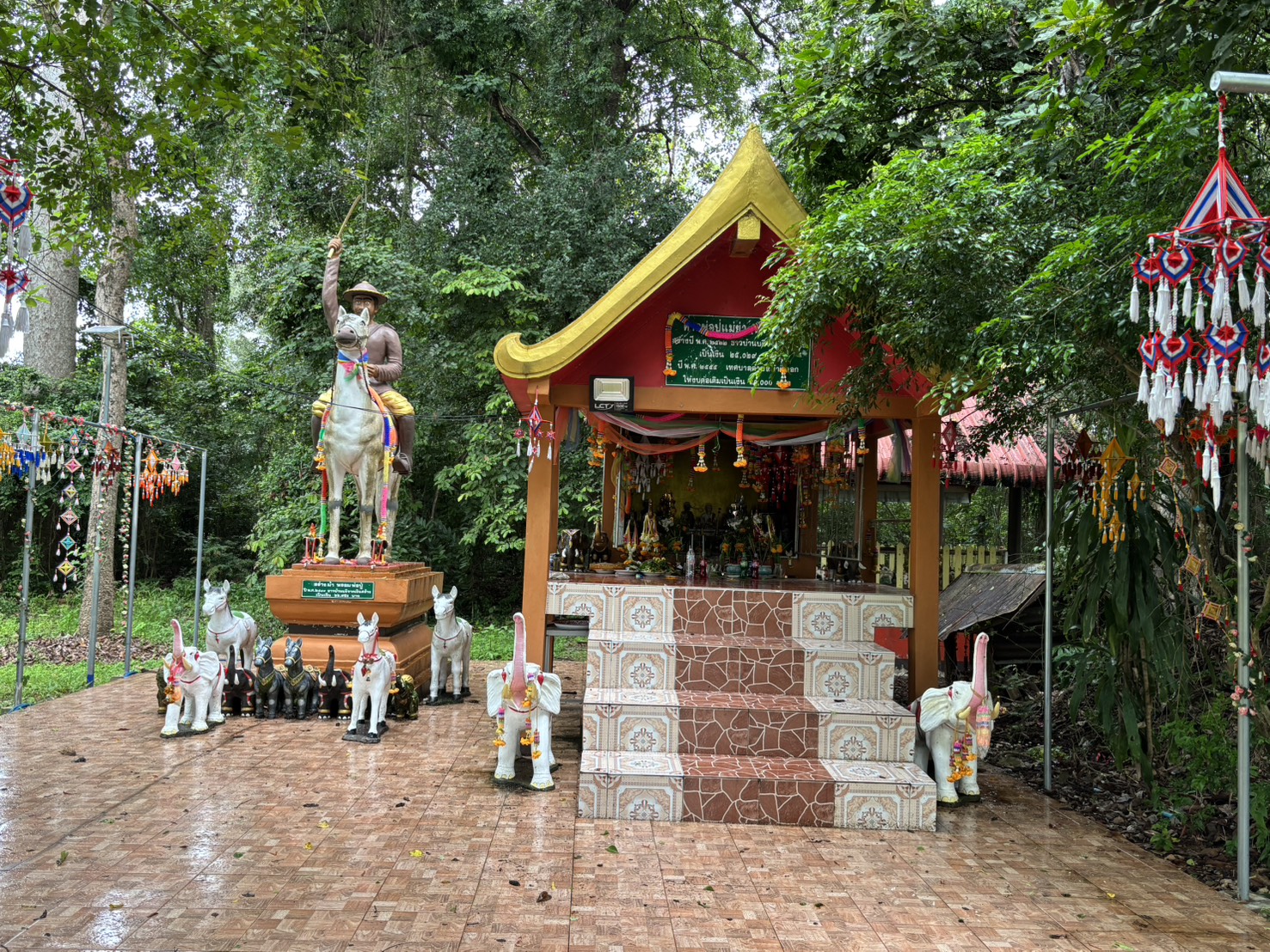 forest image